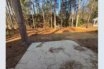 153 Whitwood Circle, Columbia, SC 29212 - Photo 5