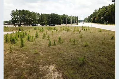 1108 Chestnut Ferry Road, Camden, SC 29020 - Photo 9