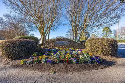 312 Palmer Drive, Lexington, SC 29072 - Photo 53