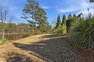 65 Nut Hatch Ct, Columbia, SC 29223 - Photo 51
