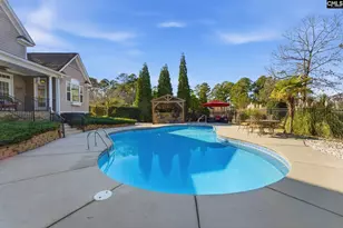 65 Nut Hatch Ct, Columbia, SC 29223 - Photo 47