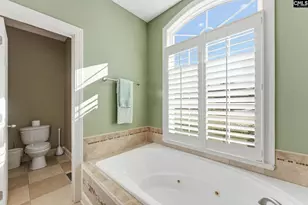 65 Nut Hatch Ct, Columbia, SC 29223 - Photo 39