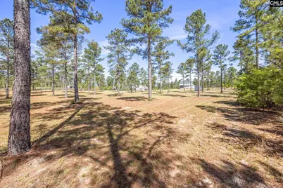 154 Hurlingham Drive, Aiken, SC 29801 - Photo 53