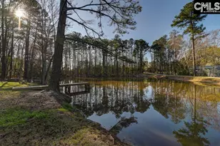 162 Baskin Hills Rd, Lexington, SC 29072 - Photo 17