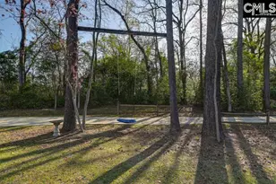 162 Baskin Hills Rd, Lexington, SC 29072 - Photo 7