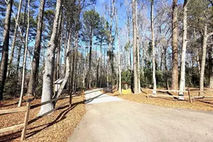 162 Baskin Hills Rd, Lexington, SC 29072 - Photo 49