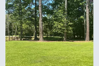 162 Baskin Hills Road, Lexington, SC 29072 - Photo 57