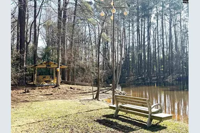 162 Baskin Hills Road, Lexington, SC 29072 - Photo 47