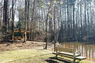 162 Baskin Hills Rd, Lexington, SC 29072 - Photo 47