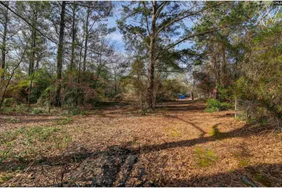 1571 Chestnut Road, Elgin, SC 29045 - Photo 19