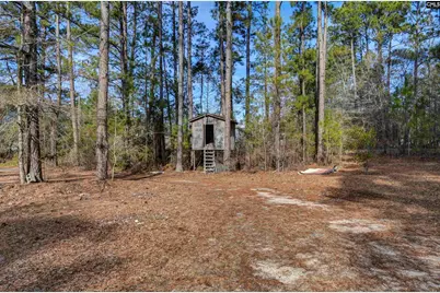 1571 Chestnut Road, Elgin, SC 29045 - Photo 5
