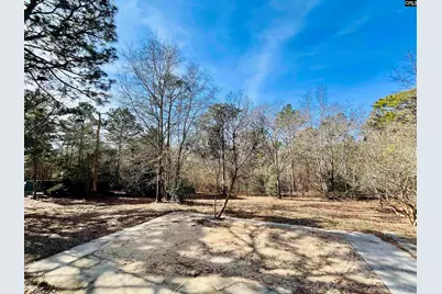491 Sandy Springs Lane, Lexington, SC 29073 - Photo 53