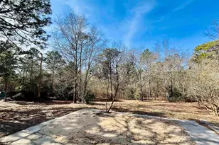 491 Sandy Springs Ln, Lexington, SC 29073 - Photo 53