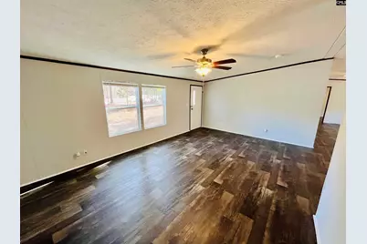 491 Sandy Springs Lane, Lexington, SC 29073 - Photo 9