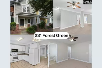 231 Forest Green Drive, Columbia, SC 29209 - Photo 5