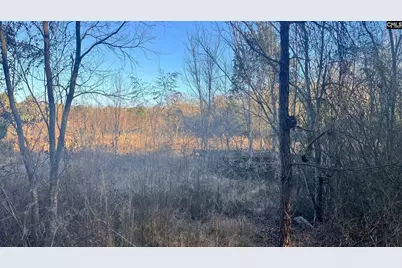 Tbd Millers Pond Road, Wagener, SC 29801 - Photo 9