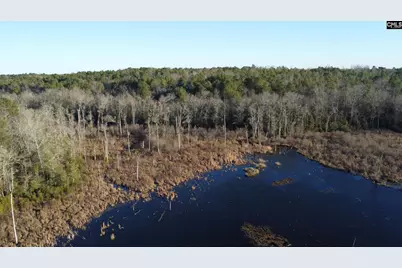 Tbd Millers Pond Road, Wagener, SC 29801 - Photo 19