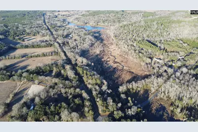 Tbd Millers Pond Road, Wagener, SC 29801 - Photo 13