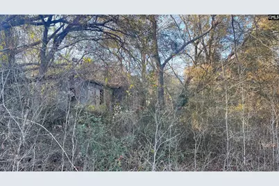 Tbd Millers Pond Road, Wagener, SC 29801 - Photo 7