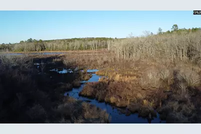 Tbd Millers Pond Road, Wagener, SC 29801 - Photo 17