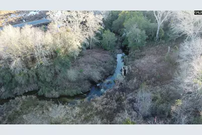 Tbd Millers Pond Road, Wagener, SC 29801 - Photo 15