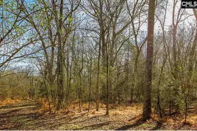 561 Church Road, Batesburg, SC 29006 - Photo 19