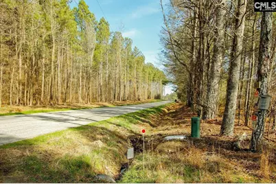 561 Church Road, Batesburg, SC 29006 - Photo 13