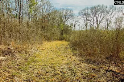 561 Church Road, Batesburg, SC 29006 - Photo 15