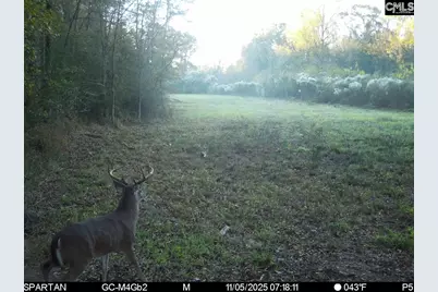 561 Church Road, Batesburg, SC 29006 - Photo 11