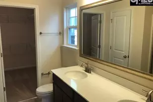 1028 Bergenfield Ln, Chapin, SC 29036 - Photo 7