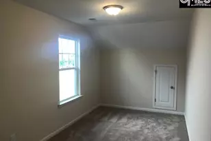 1028 Bergenfield Ln, Chapin, SC 29036 - Photo 11