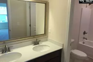 1028 Bergenfield Ln, Chapin, SC 29036 - Photo 9