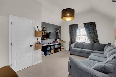 812 Village Well Court, Chapin, SC 29036 - Photo 25