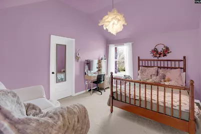 812 Village Well Court, Chapin, SC 29036 - Photo 23