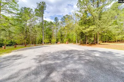 325 Derrick Lane, Blythewood, SC 29016 - Photo 9