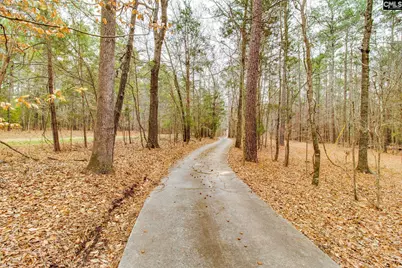 325 Derrick Lane, Blythewood, SC 29016 - Photo 5