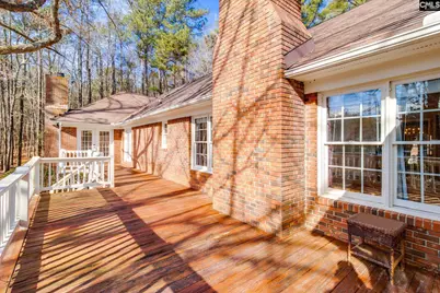 325 Derrick Lane, Blythewood, SC 29016 - Photo 43