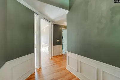 325 Derrick Lane, Blythewood, SC 29016 - Photo 47