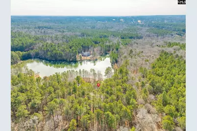 325 Derrick Lane, Blythewood, SC 29016 - Photo 59