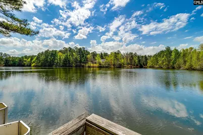 325 Derrick Lane, Blythewood, SC 29016 - Photo 11