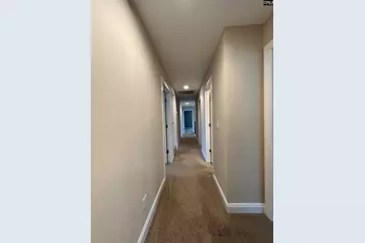 60 Fork Branch Court, Irmo, SC 29063 - Photo 39