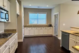 60 Fork Branch Ct, Irmo, SC 29063 - Photo 21