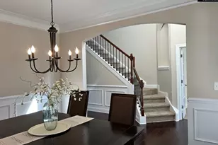 60 Fork Branch Ct, Irmo, SC 29063 - Photo 9