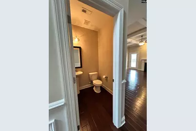 60 Fork Branch Court, Irmo, SC 29063 - Photo 11