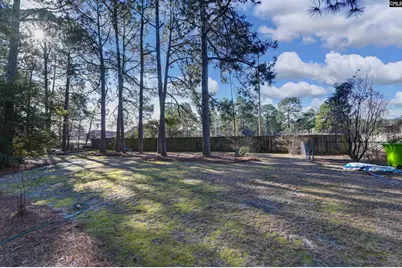 300 Valley Springs Road, Columbia, SC 29223 - Photo 53