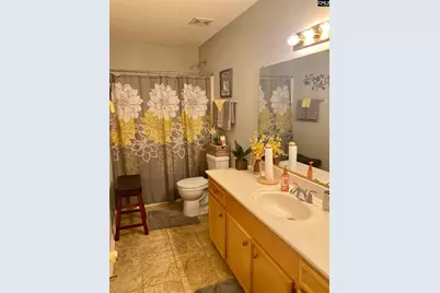 219 Walnut Grove Circle, Irmo, SC 29063 - Photo 13