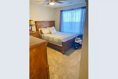 219 Walnut Grove Circle, Irmo, SC 29063 - Photo 33