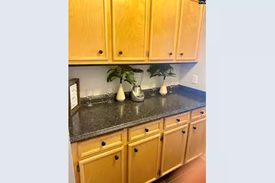 219 Walnut Grove Circle, Irmo, SC 29063 - Photo 19