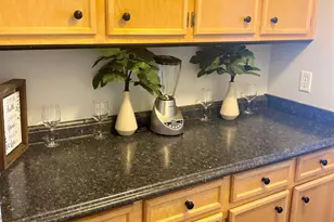 219 Walnut Grove Cir, Irmo, SC 29063 - Photo 19