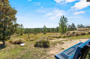 2743 Emonds Fld Ln, Lexington, SC 29073 - Photo 33